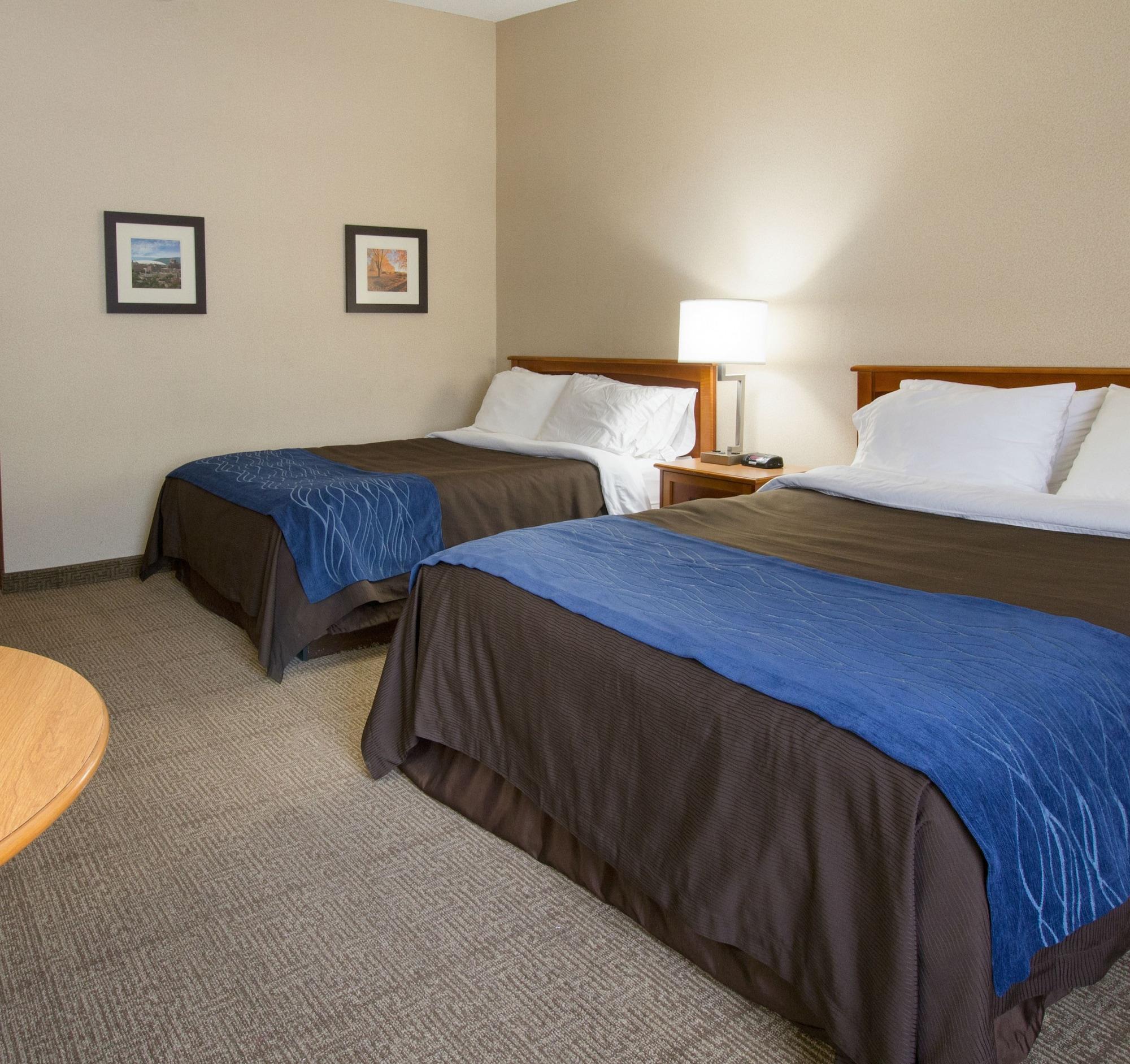 Comfort Inn Syracuse-Carrier Circle East Syracuse Eksteriør bilde