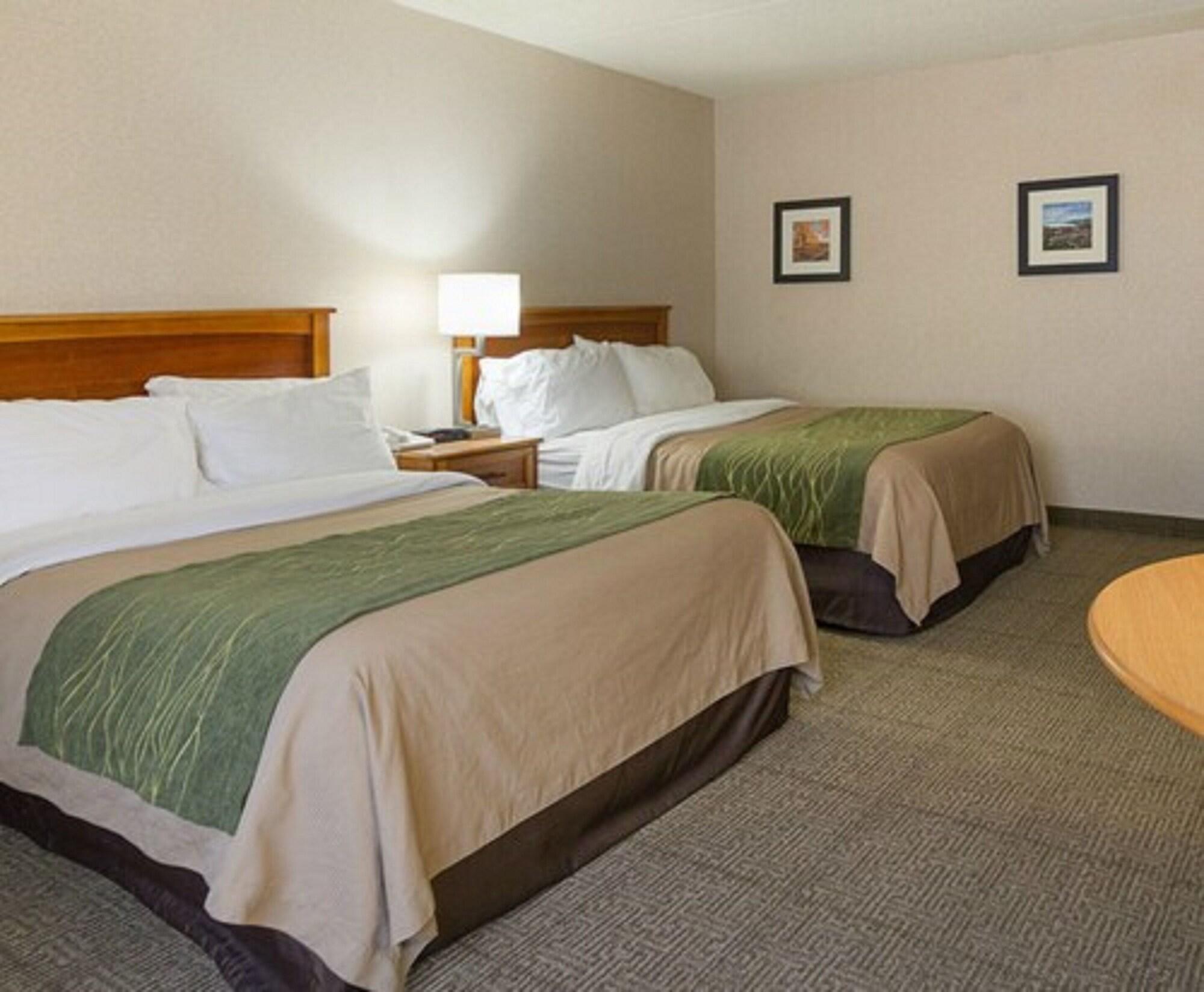 Comfort Inn Syracuse-Carrier Circle East Syracuse Eksteriør bilde