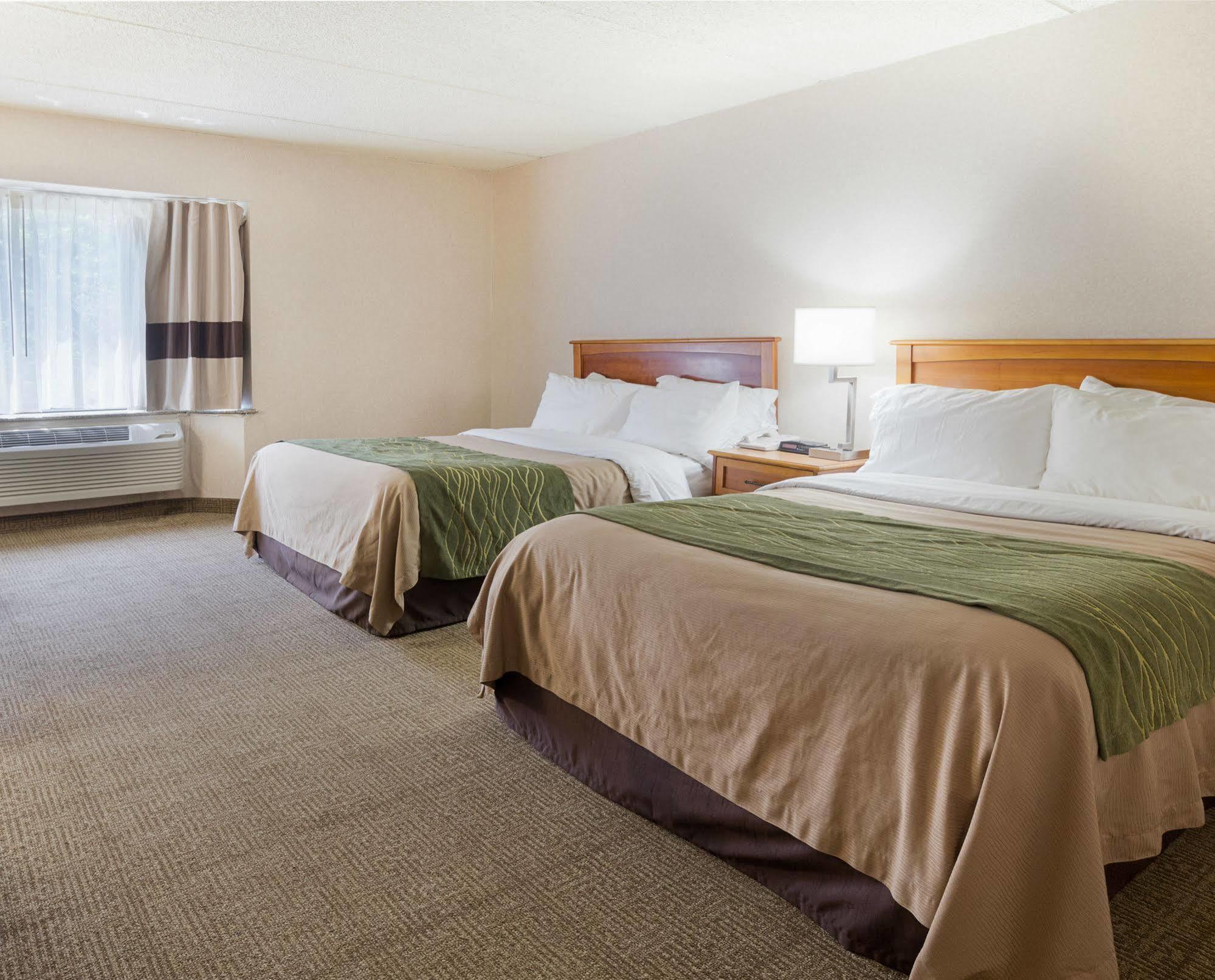 Comfort Inn Syracuse-Carrier Circle East Syracuse Eksteriør bilde