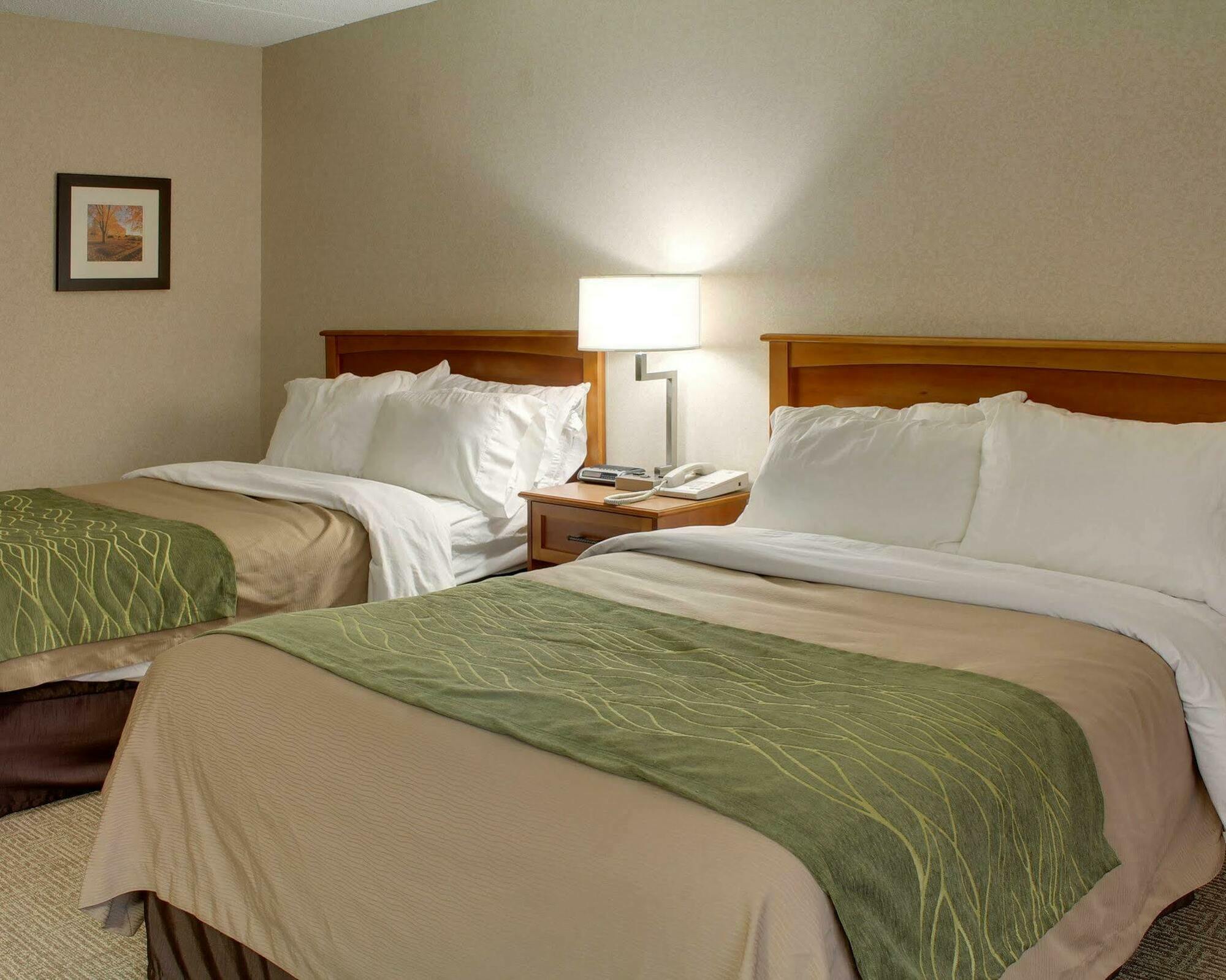 Comfort Inn Syracuse-Carrier Circle East Syracuse Eksteriør bilde